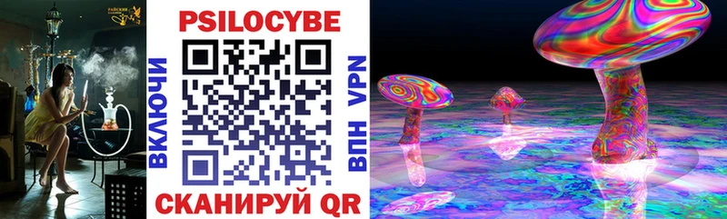 наркотики  KRAKEN ссылка  Псилоцибиновые грибы Cubensis  Полярные Зори 